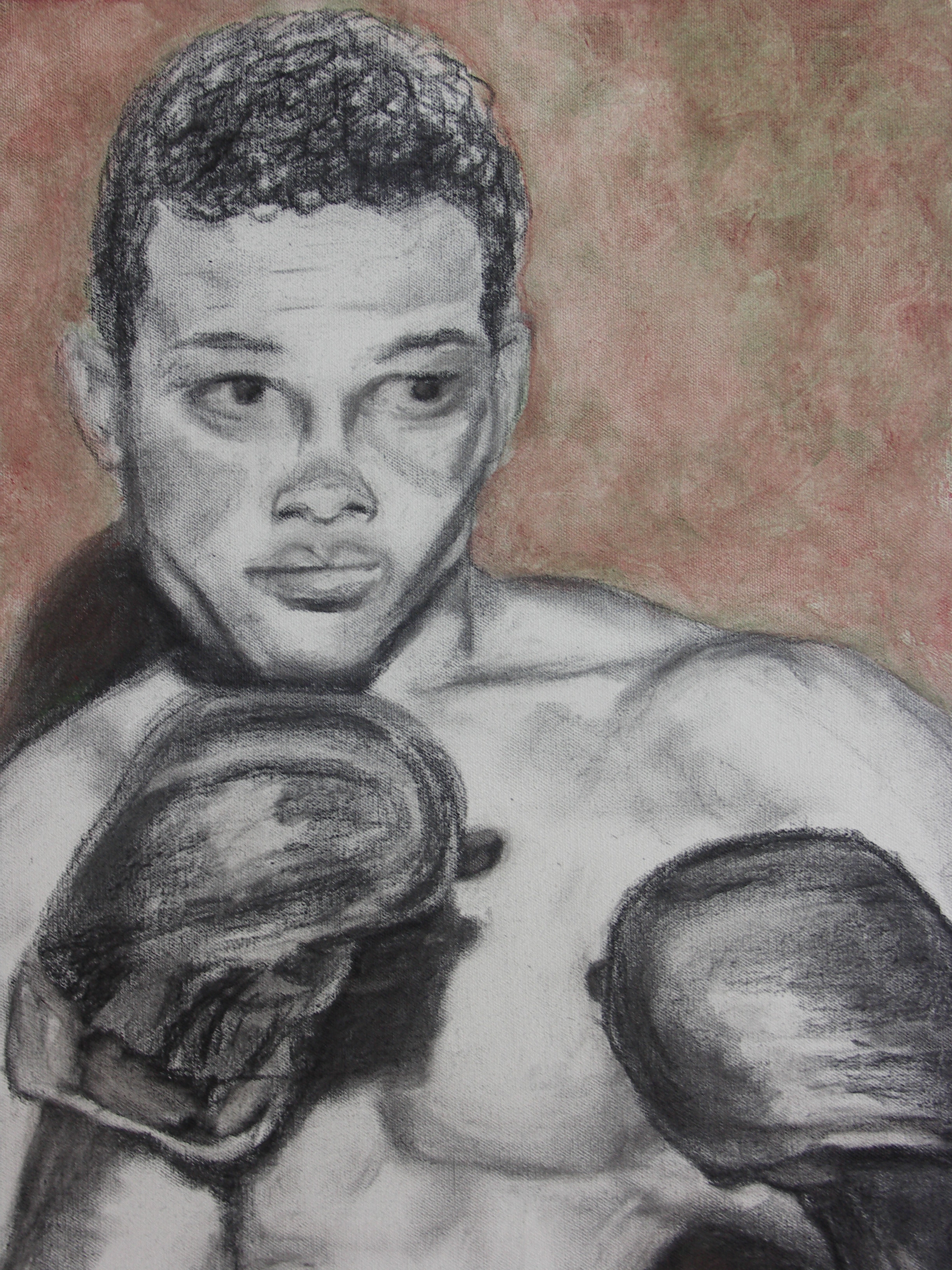 KONICA MINOLTA DIGITAL CAMERA