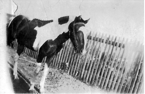 screenshot-2016-12-20-11-18-09