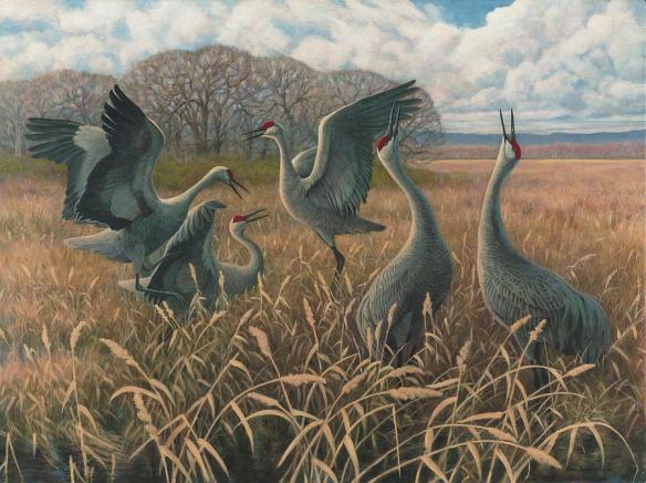 sandhill-cranes-dancing-jon-janosik