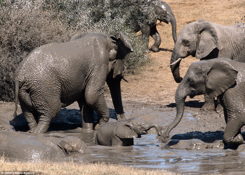 2B841B9800000578-0-image-a-80_1440066667563