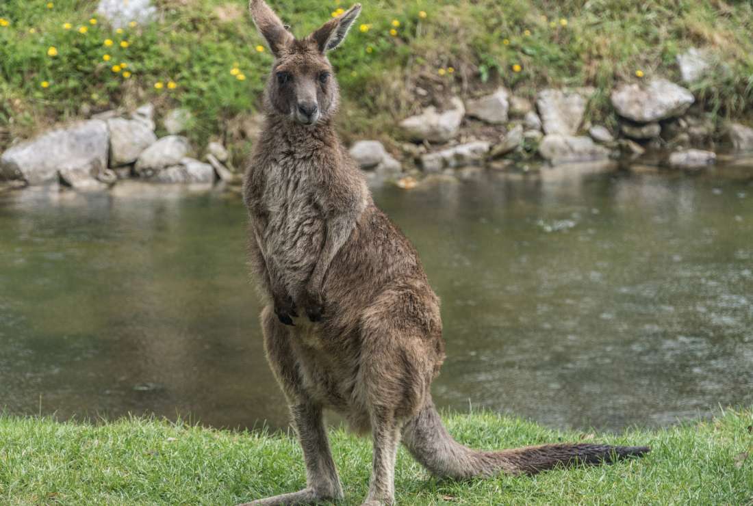 7355640942_8d8adca2c0_k